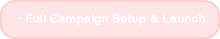 Full Campaign Setup and Launch